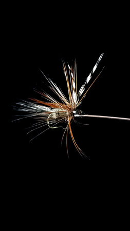 Attach your favorite fly with UV, glue or tying.
